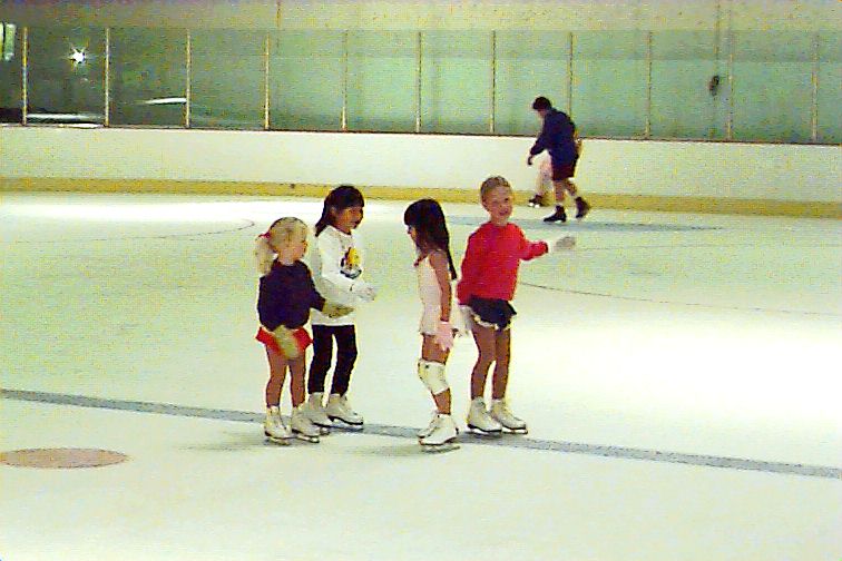 skate4.jpg (70122 bytes)